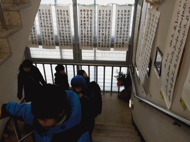 [자원개발] 2015. 청춘대축제 전시회 관람 이미지