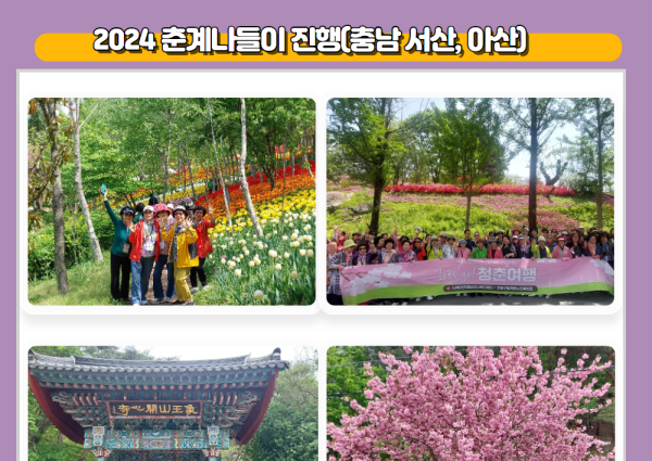 [노년사회화] 2024년 춘계나들이 진행 이미지