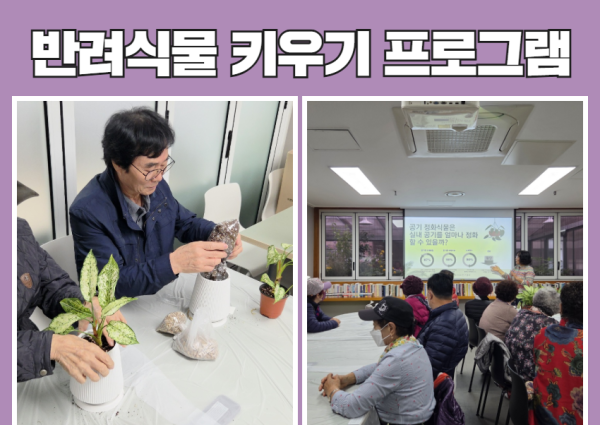 [위기노인] 반려식물 키우기 프로그램 이미지