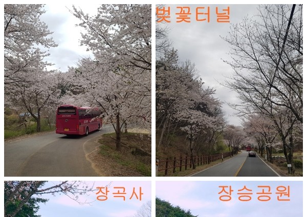 [경로식당] 크리스마스맞이 특식 제공 이미지